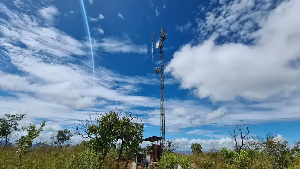 Pantera watchtower overlooking the Pantanal wetland